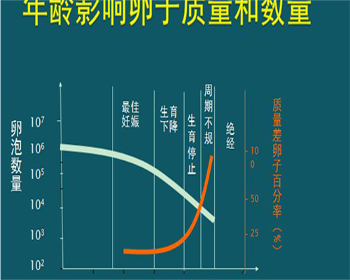 4精索静脉曲张能做试管婴儿吗