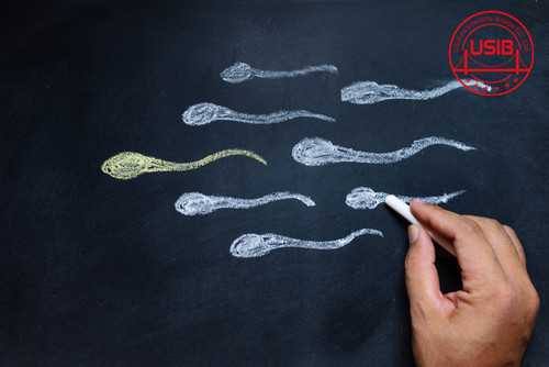 供卵供精试管婴儿_供卵成功率_染色体异常该怎么生育健康的宝宝？第三代试管